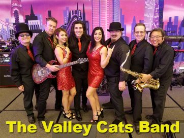The Valley Cats Band